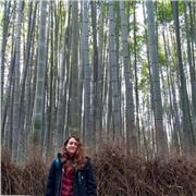 Laureata in lingue offre lezioni di Inglese (anche conversazione) e giapponese o aiuto compiti